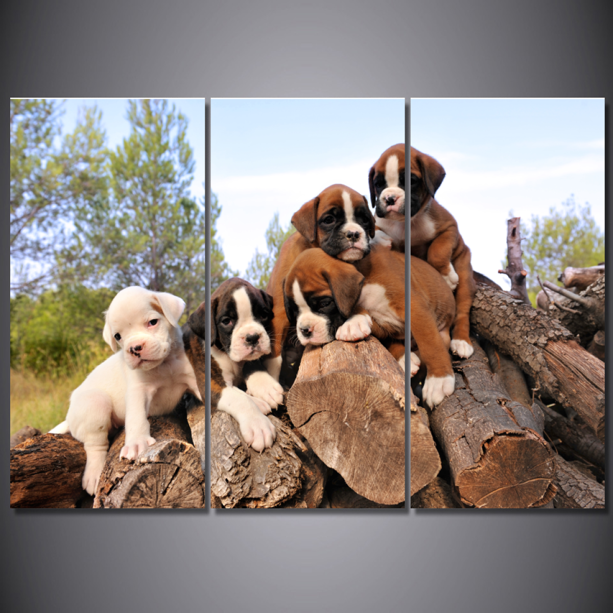 Boxer Puppies Wall Art Canvas-Medium-Not Framed-Cool Tees & Things