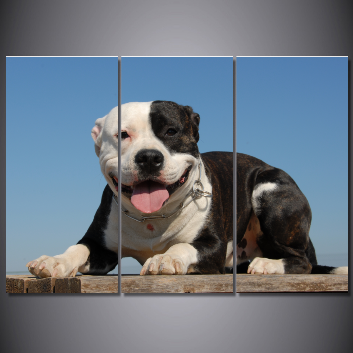 Happy Pit Bull-Medium-Not Framed-Cool Tees & Things