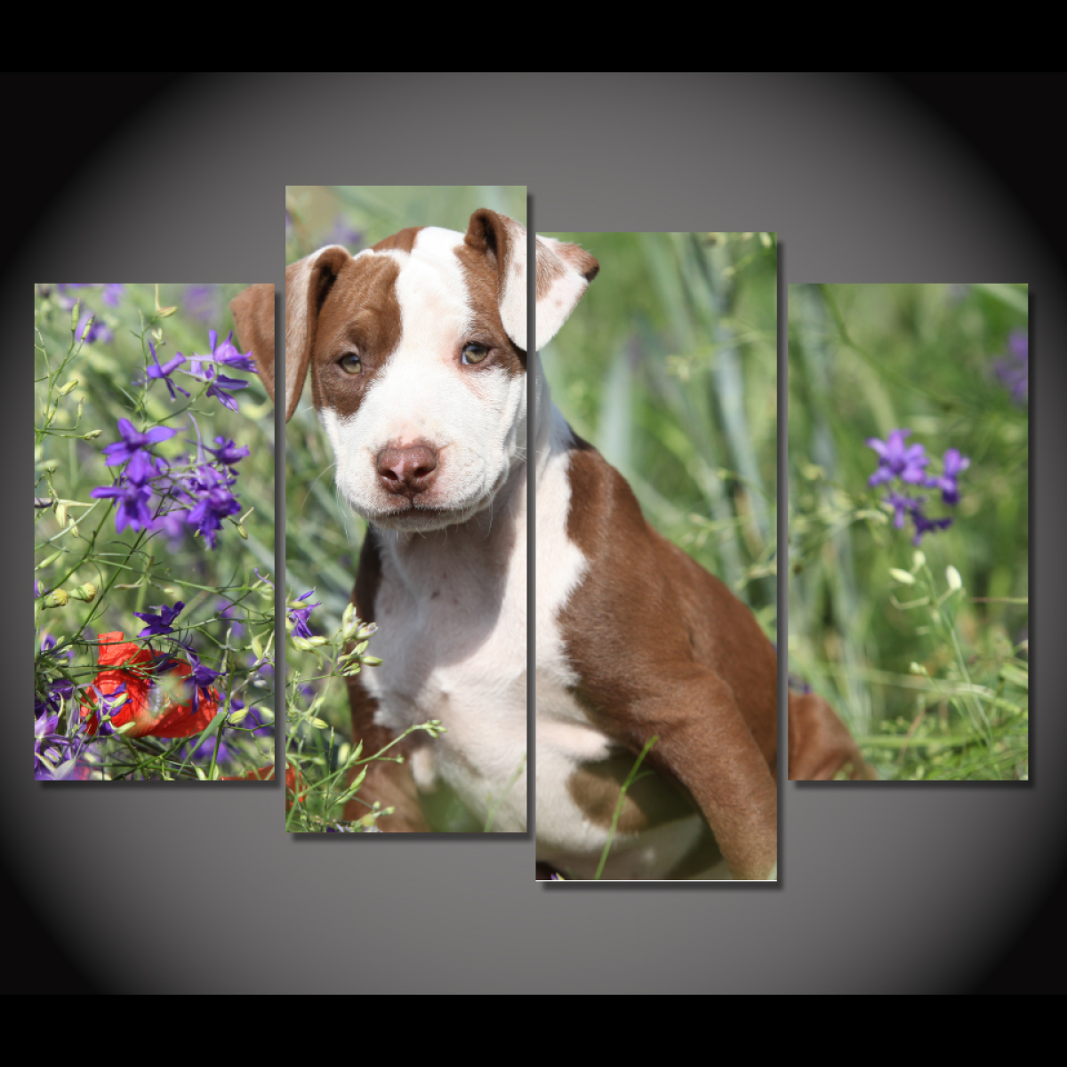 Sassy Pit Bull Wall Art Canvas-Medium-Not Framed-Cool Tees & Things