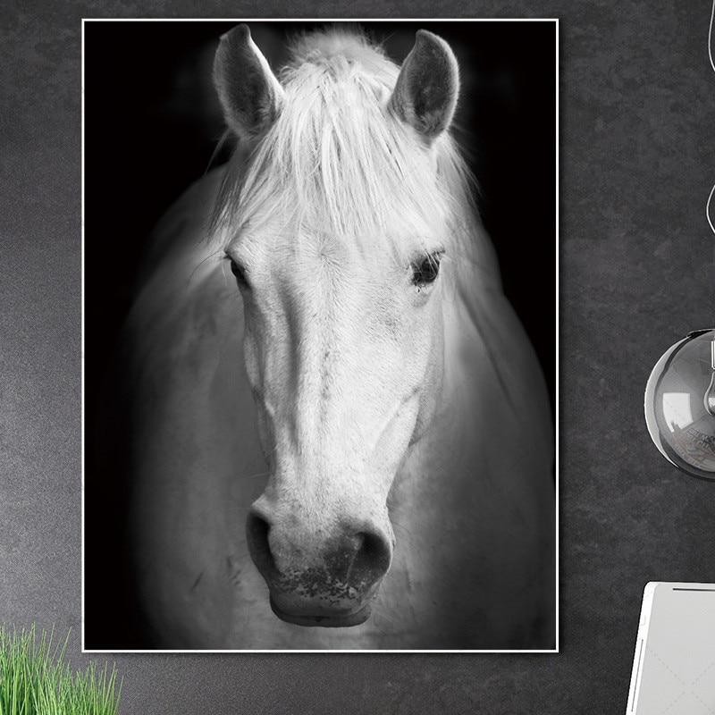 Stunning Animal Canvas Prints- Not Framed Home Decor-20X30cmX1PC no frame-White-Cool Tees & Things