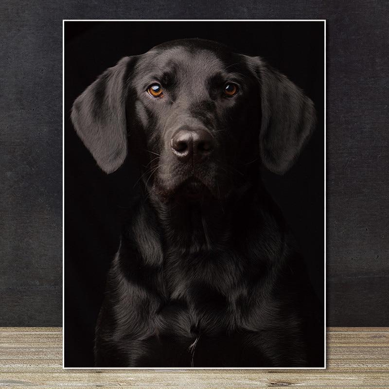 Stunning Animal Canvas Prints- Not Framed Home Decor-20X30cmX1PC no frame-DarkBlack-Cool Tees & Things