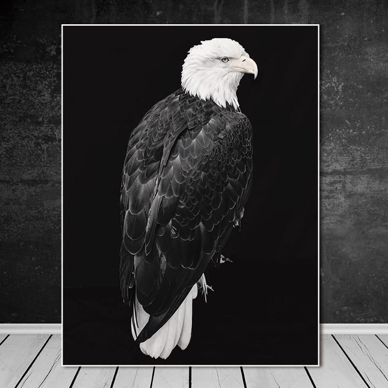Stunning Animal Canvas Prints- Not Framed Home Decor-20X30cmX1PC no frame-FloralWhite-Cool Tees & Things