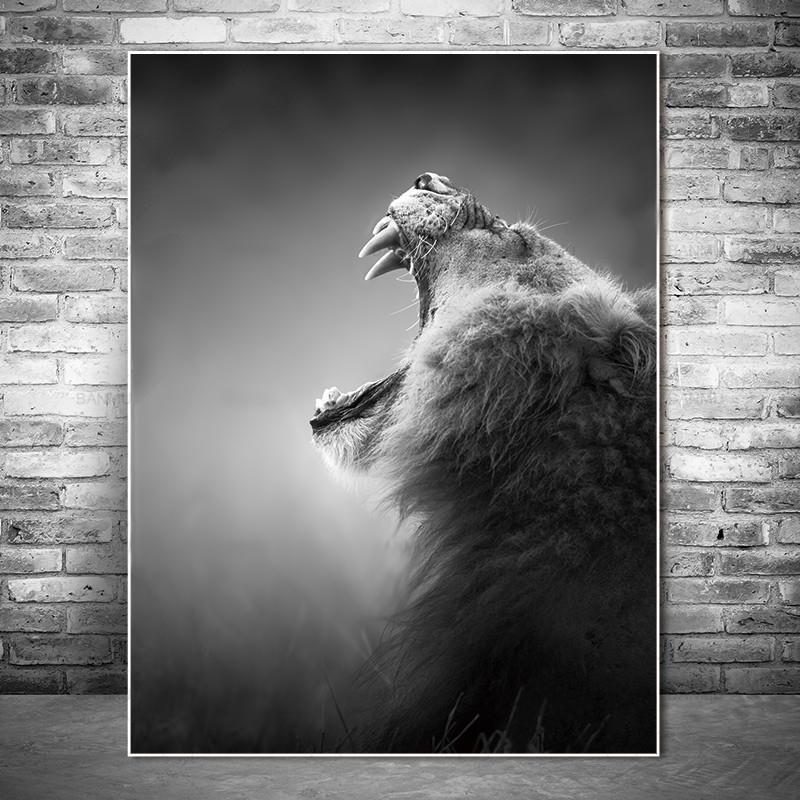 Stunning Animal Canvas Prints- Not Framed Home Decor-20X30cmX1PC no frame-MidnightBlack-Cool Tees & Things
