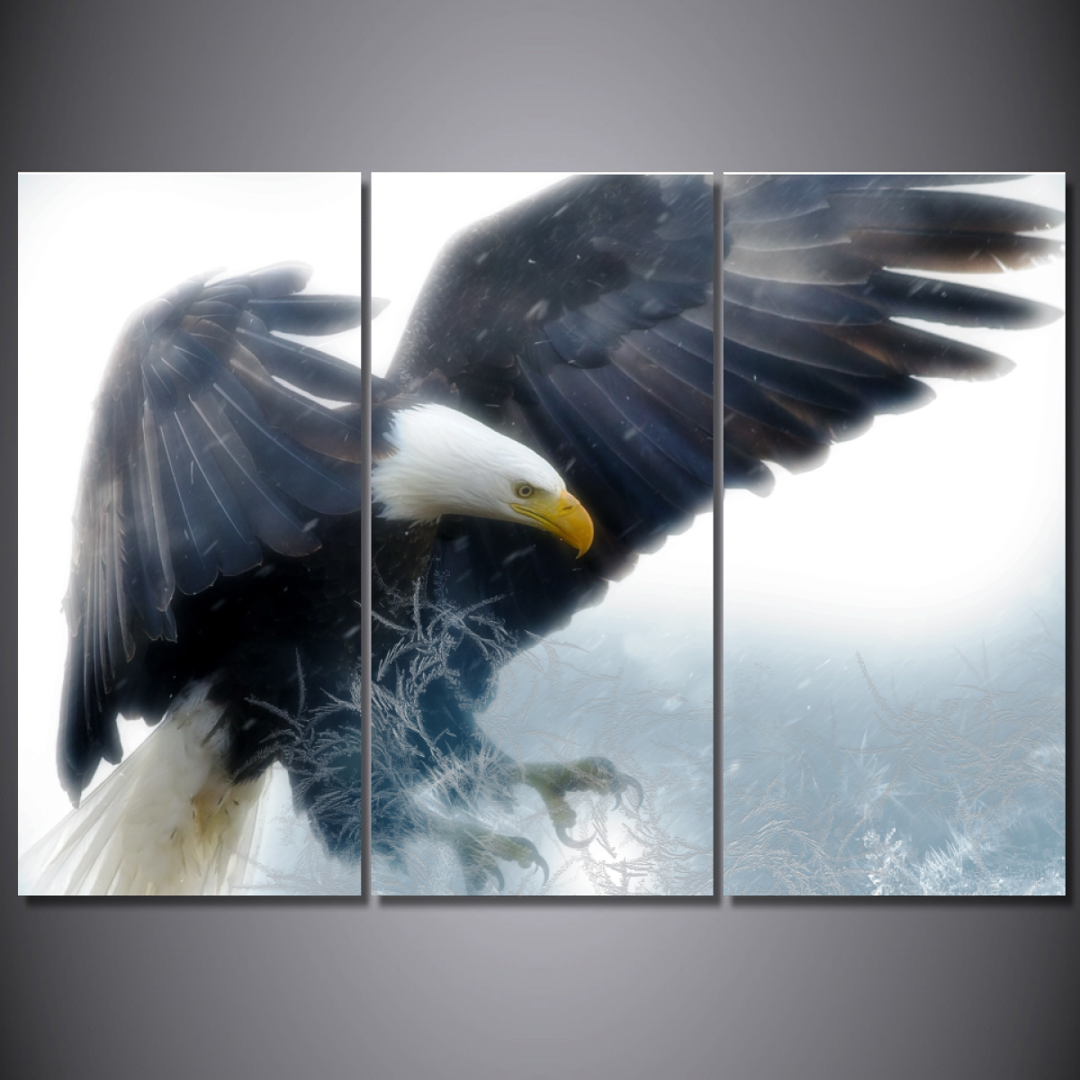 Stunning Bald Eagle-Wallart 3 Piece Vertical Rectangle-Medium - Not framed-White/Yellow/Brown/Grey-Cool Tees & Things