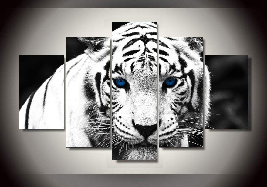 White Tiger Stare-Medium-Not Framed-Cool Tees & Things